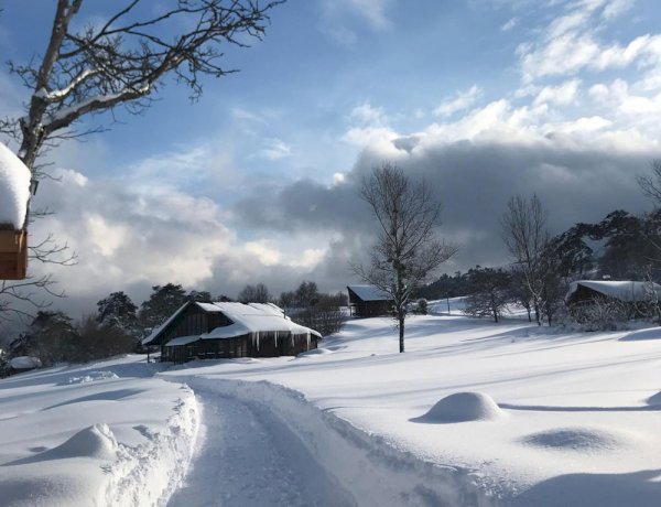 Bolu Dağ Evi - Villa Karaca